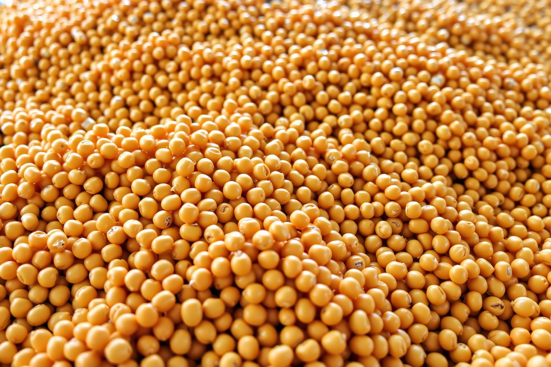 Soybeans